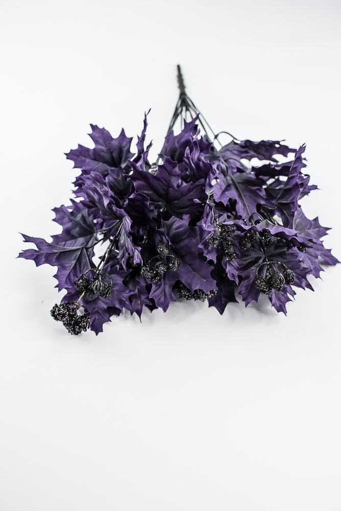 Purple Maple Leaves Bush