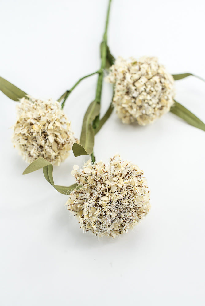 Snowball Hydrangeas Flower Spray - Beige