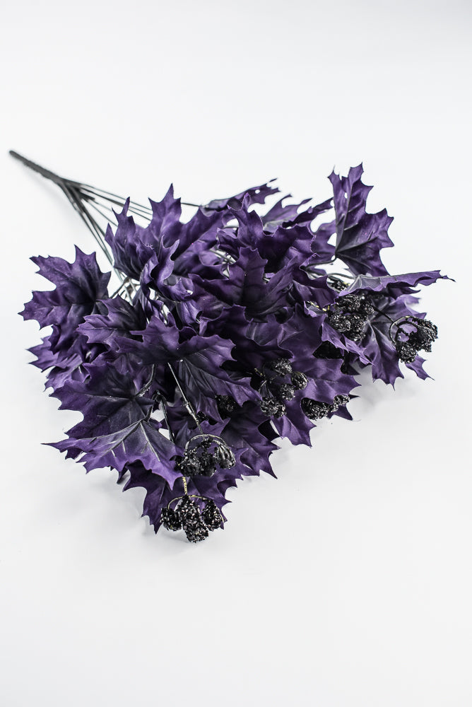 Purple Maple Leaves Bush