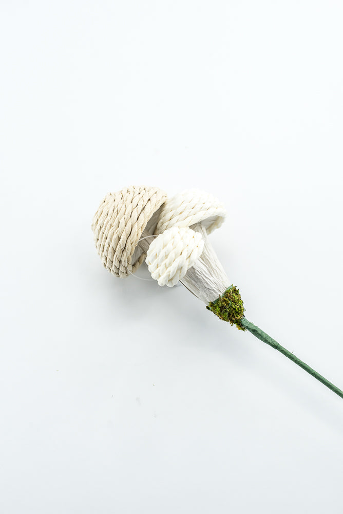 Woven Mushroom Pick