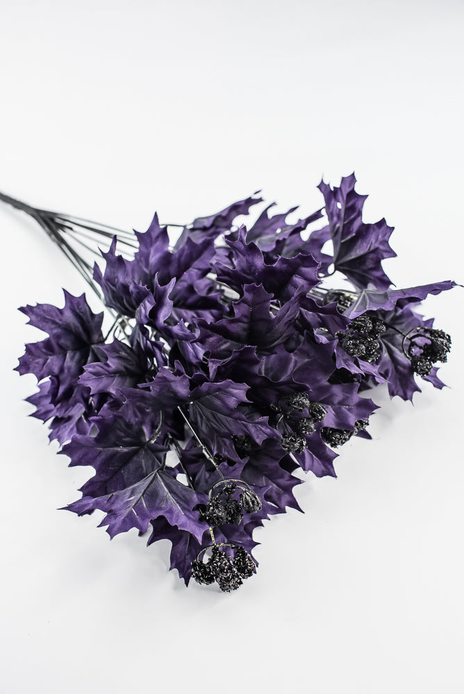 Purple Maple Leaves Bush