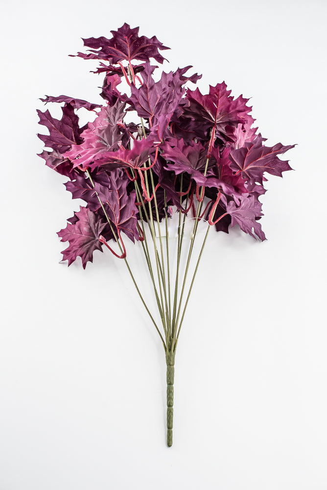 Magenta Purple Maple Leaf Bush