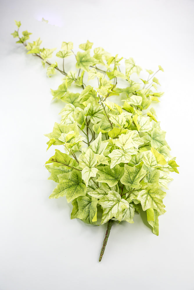 Lemon Lime Hanging Green Ivy Bush - 39”