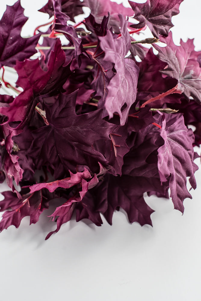 Magenta Purple Maple Leaf Bush