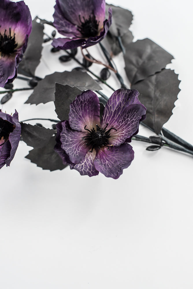 Dark Purple And Black Poppy Spray