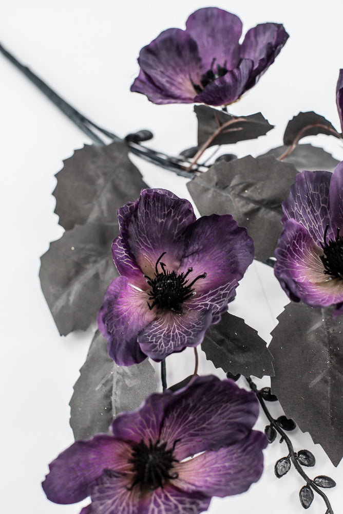 Dark Purple And Black Poppy Spray