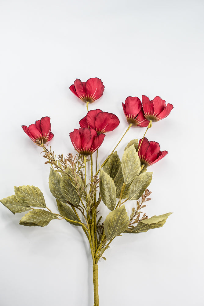 Red Mixed Poppy Bush