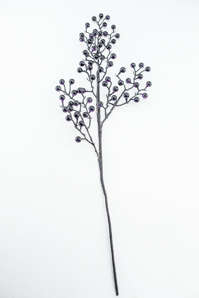 Dark Purple Berry Spray