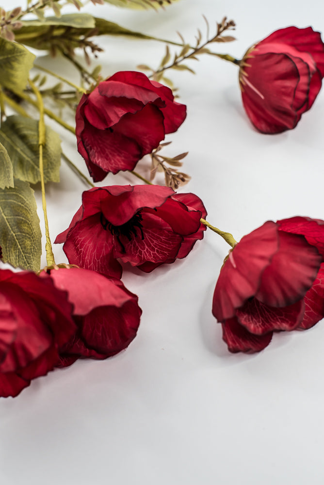 Red Mixed Poppy Bush