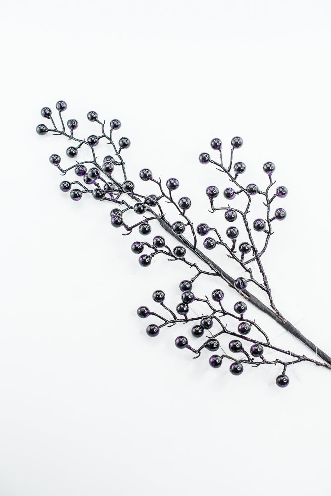 Dark Purple Berry Spray