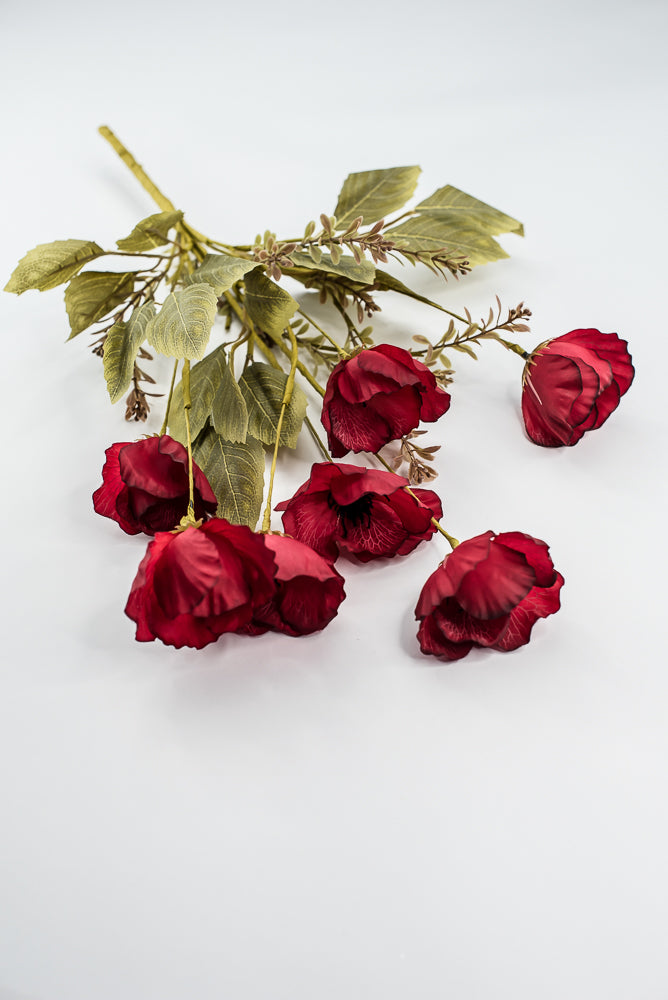 Red Mixed Poppy Bush