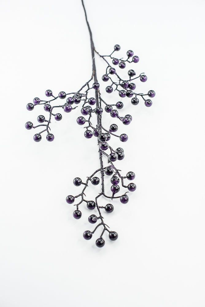 Dark Purple Berry Spray