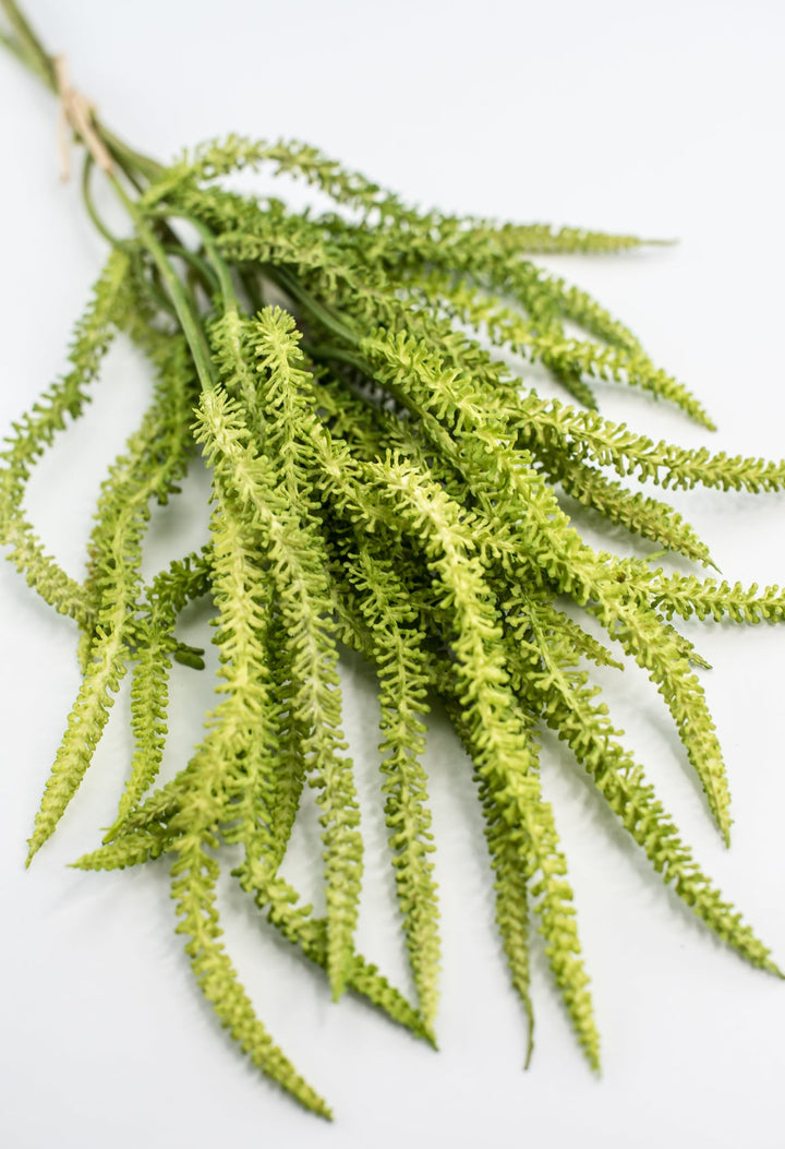 Amaranthus greens bundle - Greenery Market2150156LG