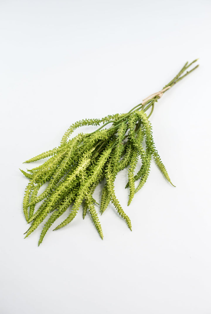 Amaranthus greens bundle - Greenery Market2150156LG