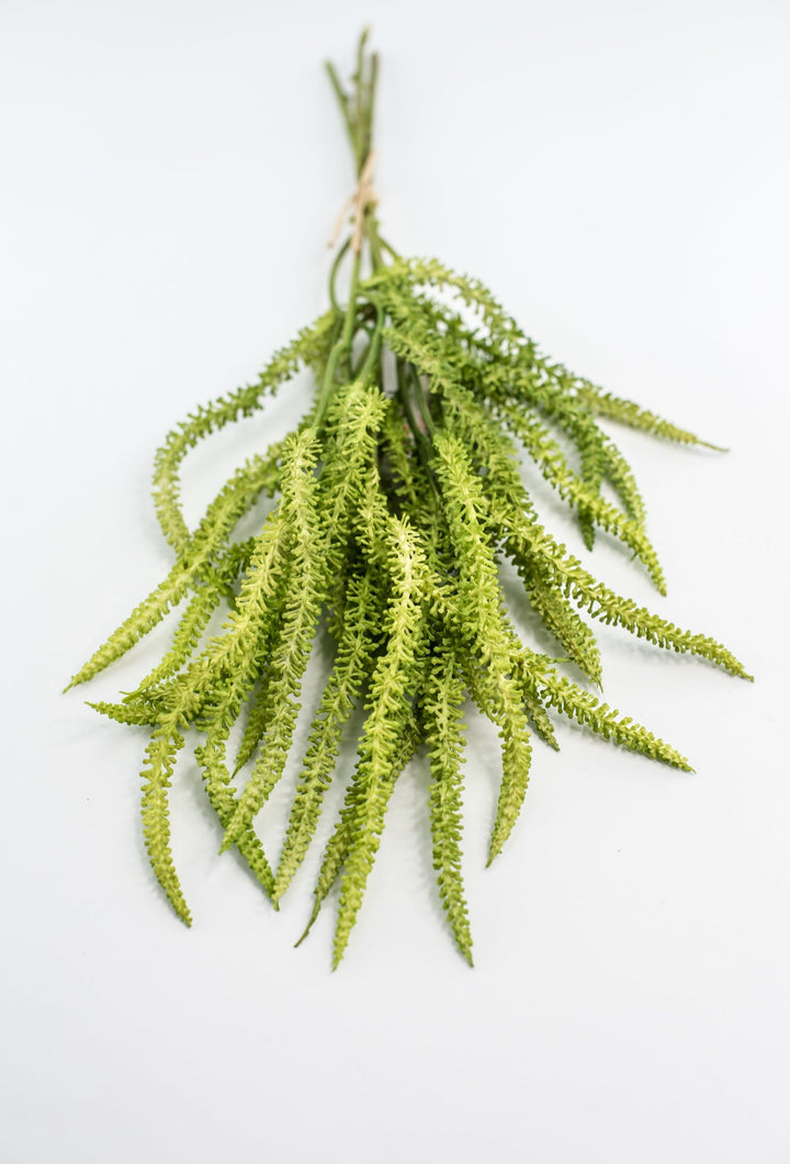 Amaranthus greens bundle - Greenery Market2150156LG