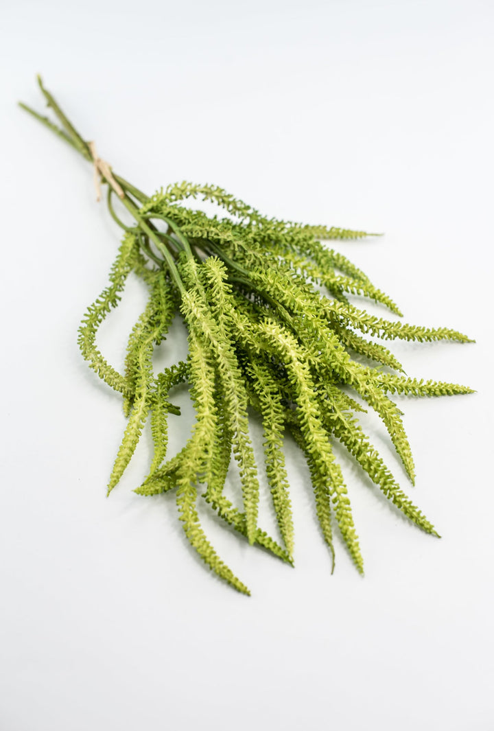 Amaranthus greens bundle - Greenery Market2150156LG