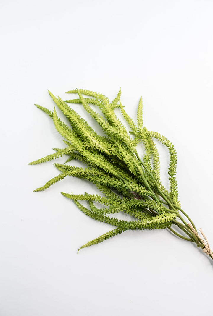 Amaranthus greens bundle - Greenery Market2150156LG