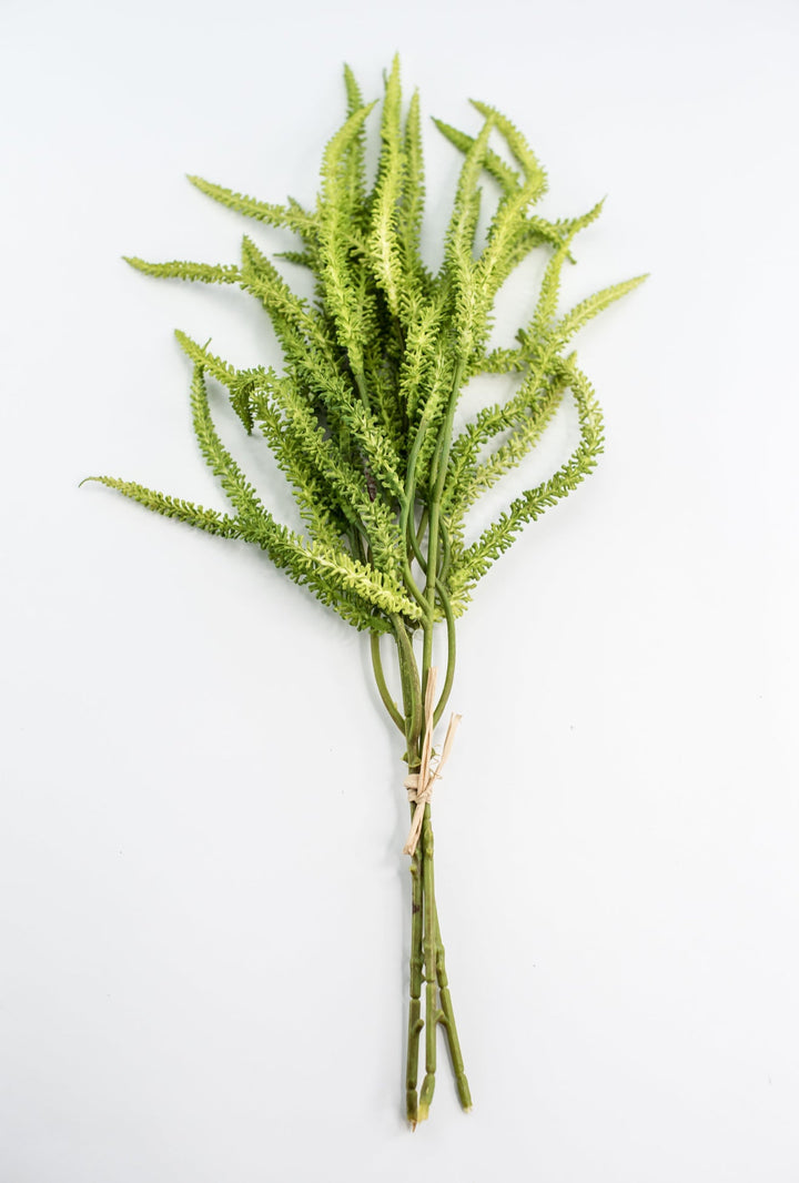 Amaranthus greens bundle - Greenery Market2150156LG