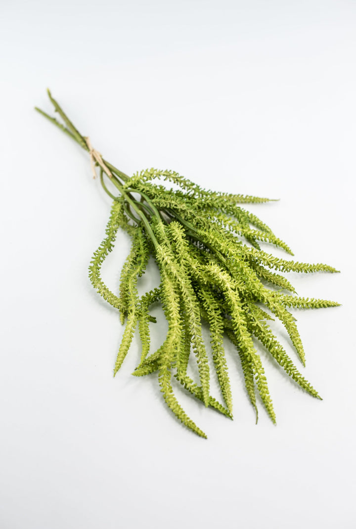 Amaranthus greens bundle - Greenery Market2150156LG