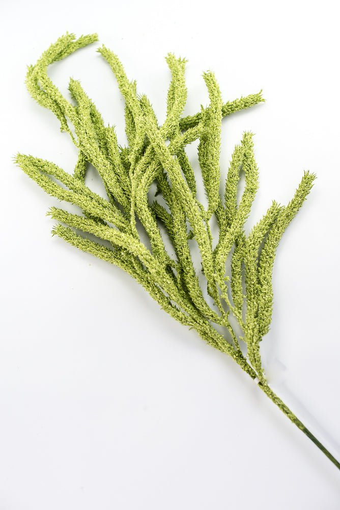 Amaranthus hanging spray - light green - Greenery Marketspring summer greeneryFL6359/LG