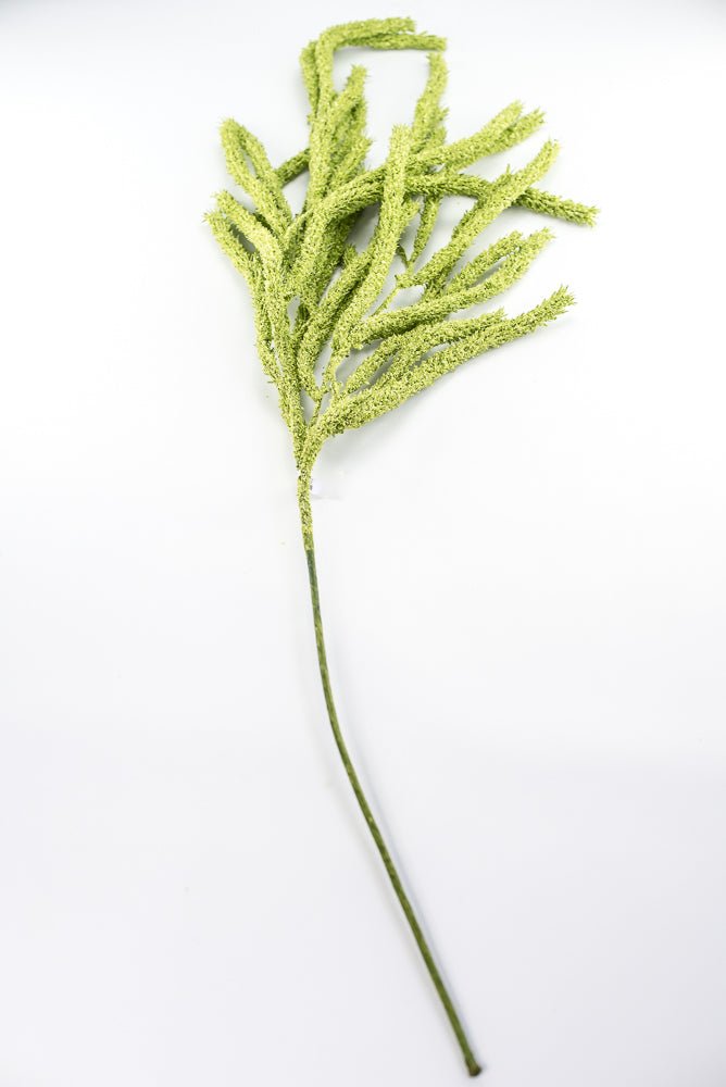 Amaranthus hanging spray - light green - Greenery Marketspring summer greeneryFL6359/LG
