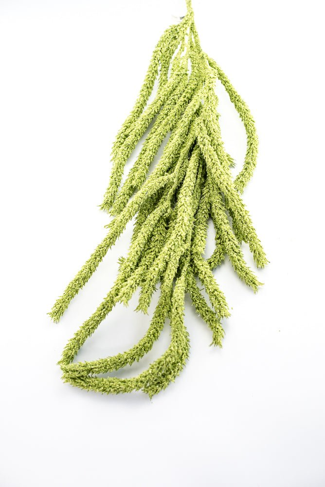 Amaranthus hanging spray - light green - Greenery Marketspring summer greeneryFL6359/LG