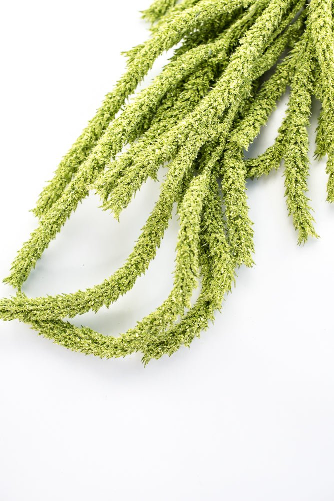 Amaranthus hanging spray - light green - Greenery Marketspring summer greeneryFL6359/LG