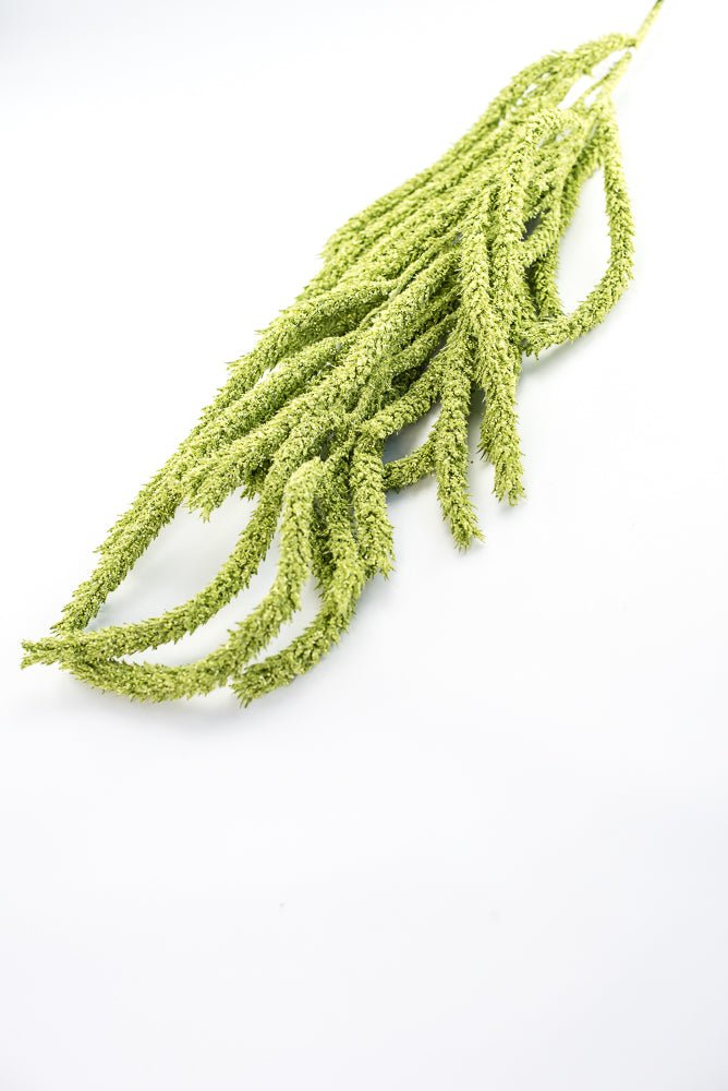 Amaranthus hanging spray - light green - Greenery Marketspring summer greeneryFL6359/LG