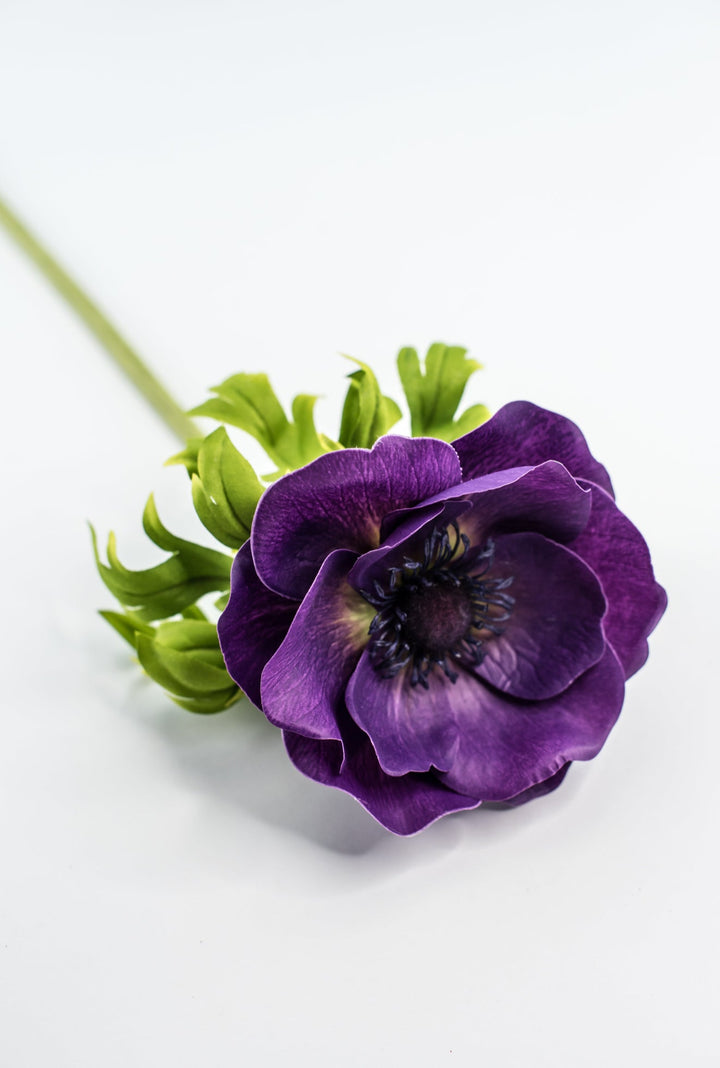 Anemone stem - purple - Greenery Market2270026PP