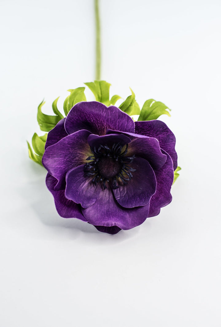 Anemone stem - purple - Greenery Market2270026PP