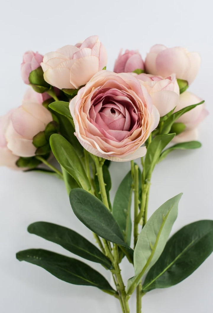 Antique Pink ranunculus bundle - Greenery Marketartificial flowers26033