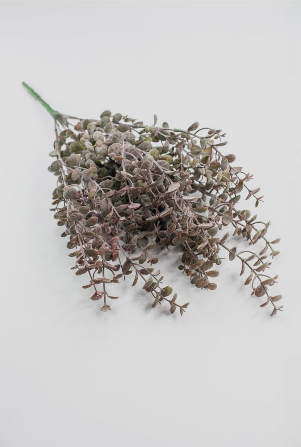 Antiqued Boxwood Bush - Greenery Market13640BNGN