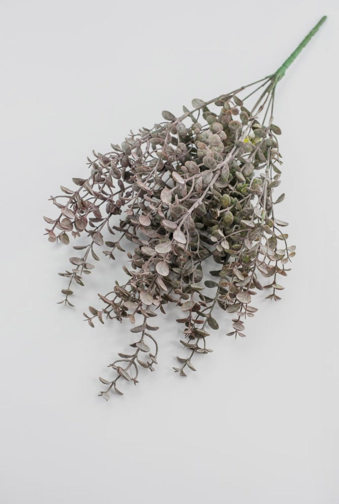 Antiqued Boxwood Bush - Greenery Market13640BNGN