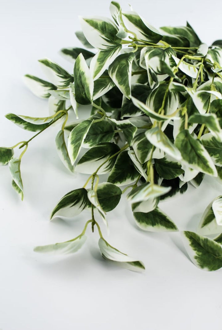 Artificial arrow Ivy leaf bush - Greenery MarketPM3020 - gc