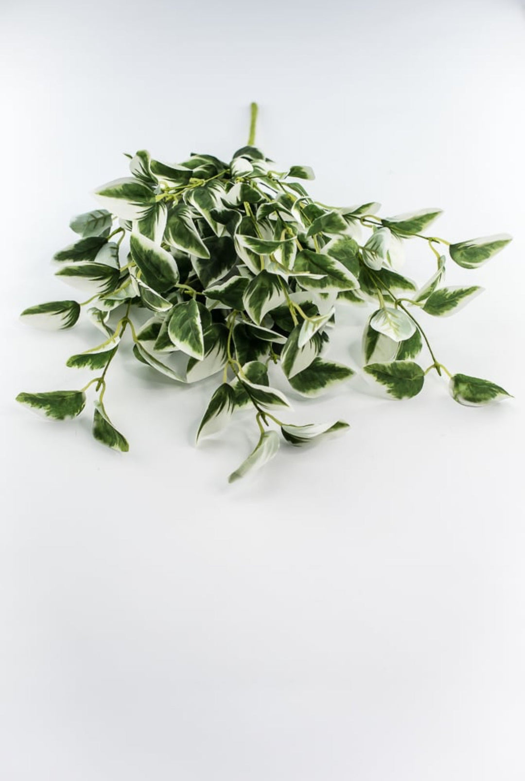 Artificial arrow Ivy leaf bush - Greenery MarketPM3020 - gc