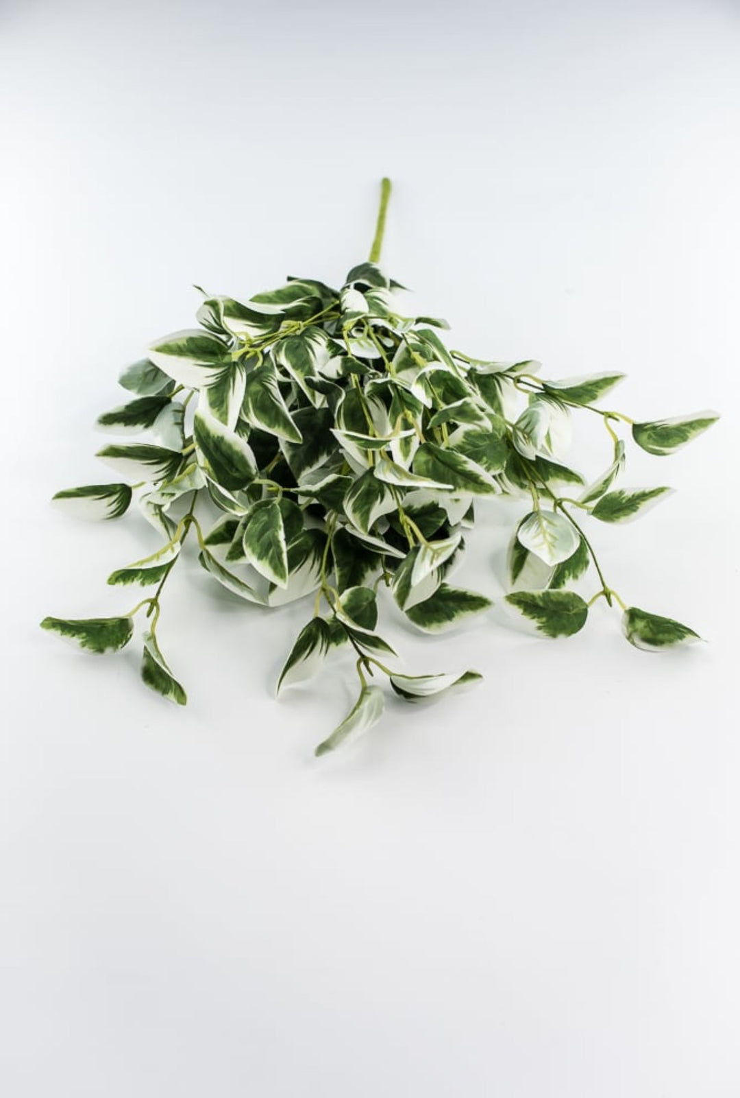 Artificial arrow Ivy leaf bush - Greenery MarketPM3020 - gc