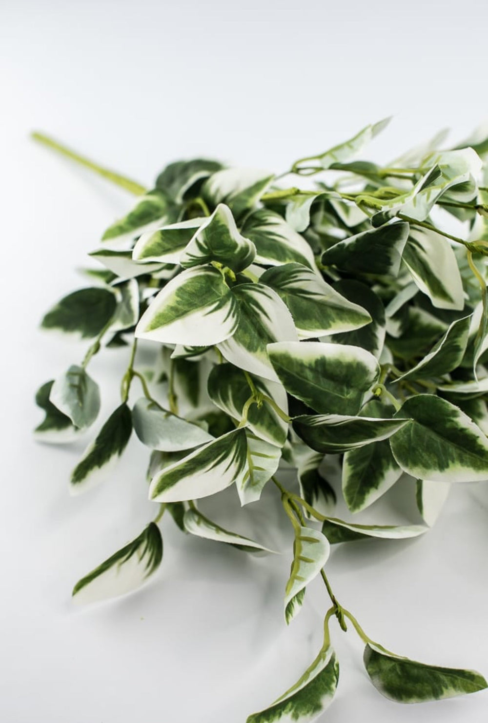 Artificial arrow Ivy leaf bush - Greenery MarketPM3020 - gc