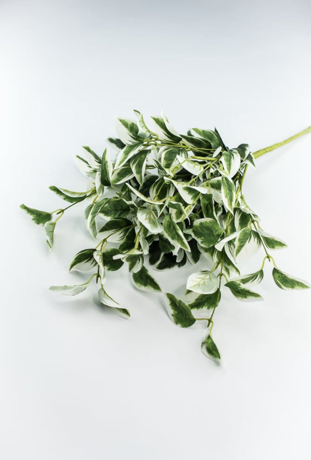 Artificial arrow Ivy leaf bush - Greenery MarketPM3020 - gc