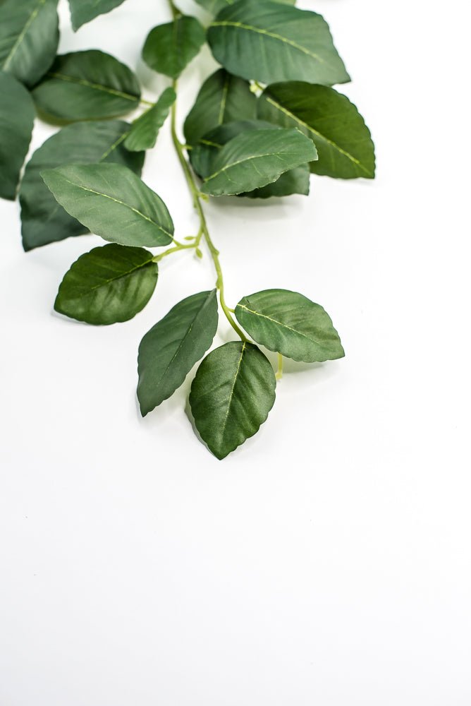 Artificial, Beech Leaves Spray - Greenery MarketPSB495 - GR