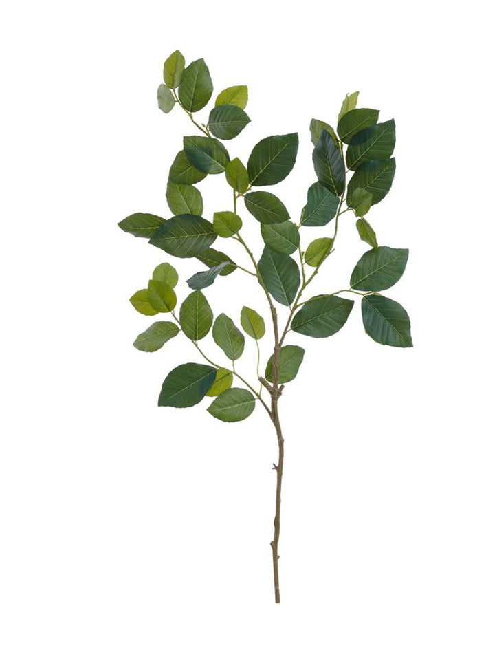 Artificial, Beech Leaves Spray - Greenery MarketPSB495 - GR