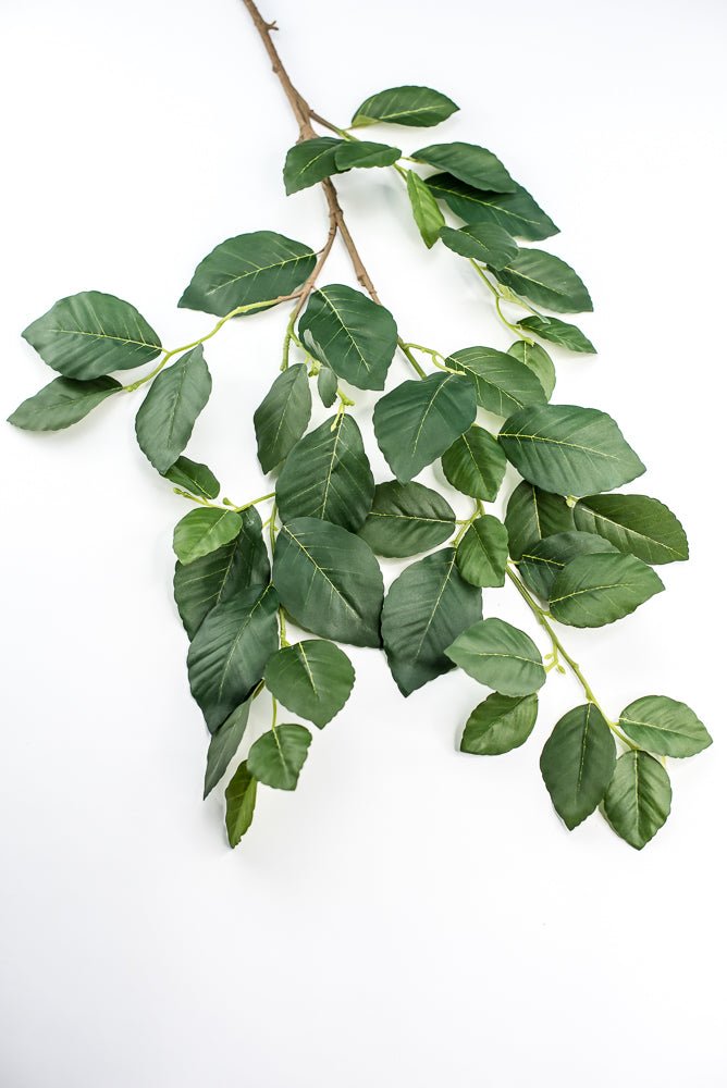 Artificial, Beech Leaves Spray - Greenery MarketPSB495 - GR