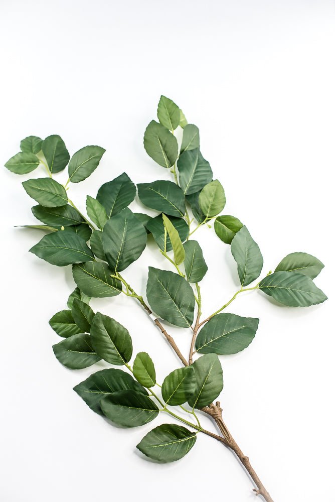 Artificial, Beech Leaves Spray - Greenery MarketPSB495 - GR