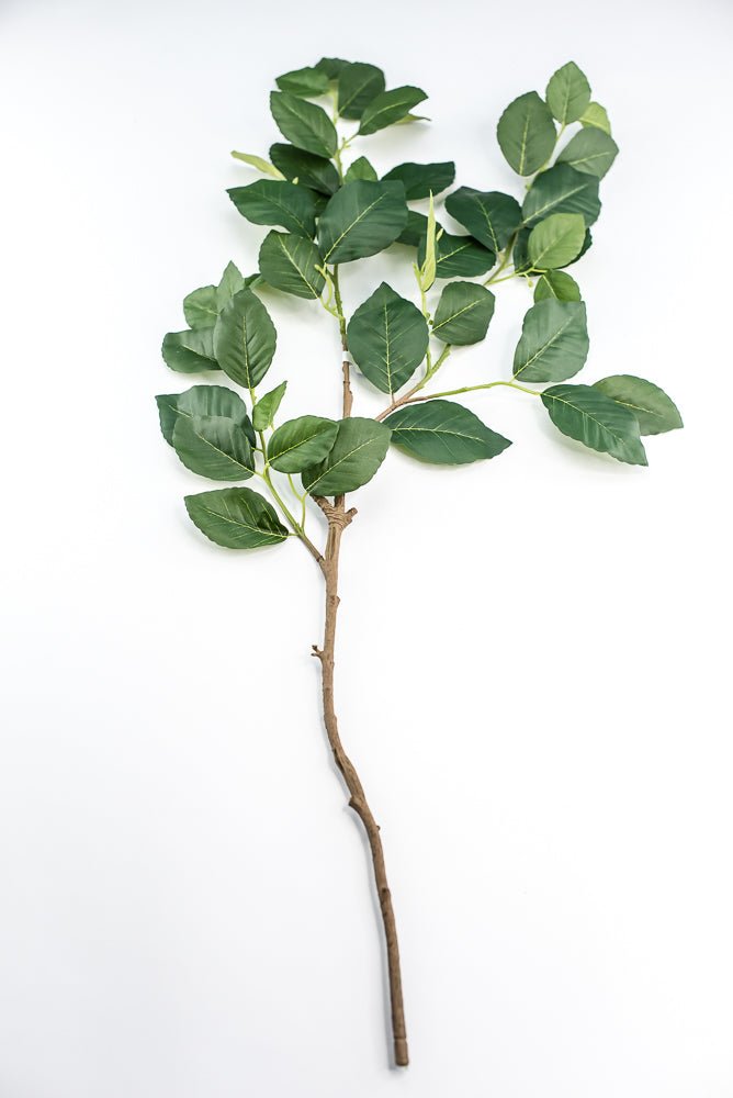 Artificial, Beech Leaves Spray - Greenery MarketPSB495 - GR