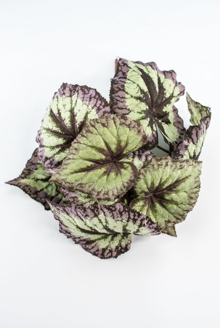 Artificial Begonia Leaves Bush - Greenery MarketPBB431 - GR/PU