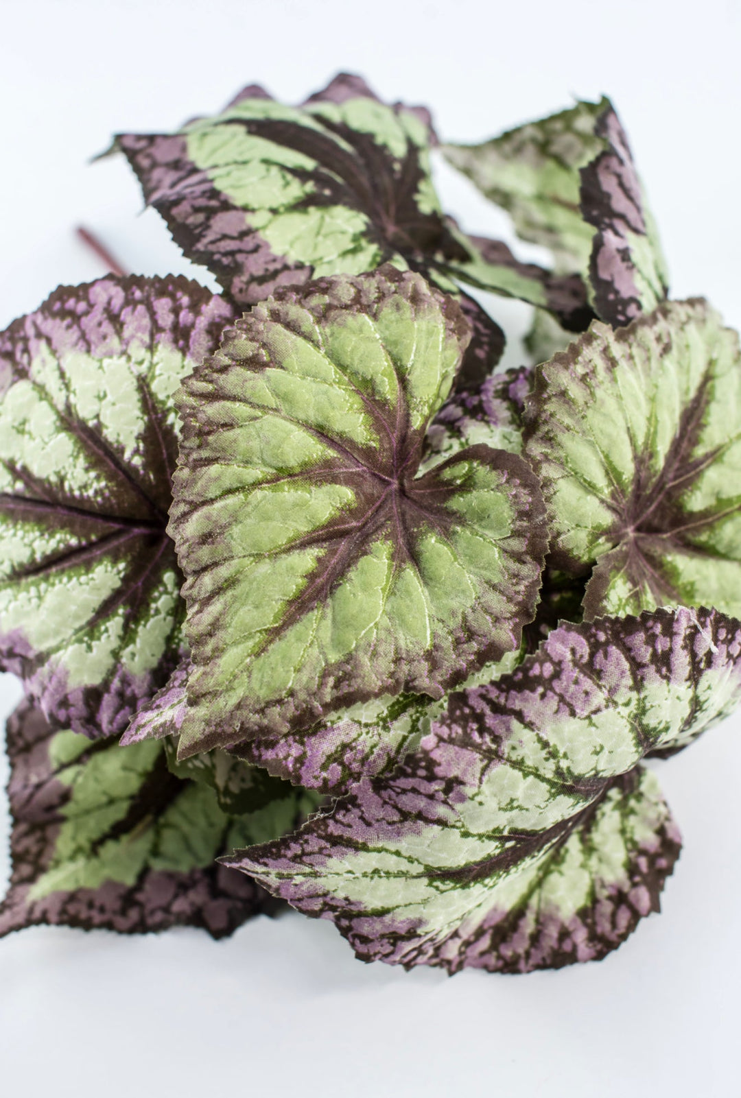 Artificial Begonia Leaves Bush - Greenery MarketPBB431 - GR/PU