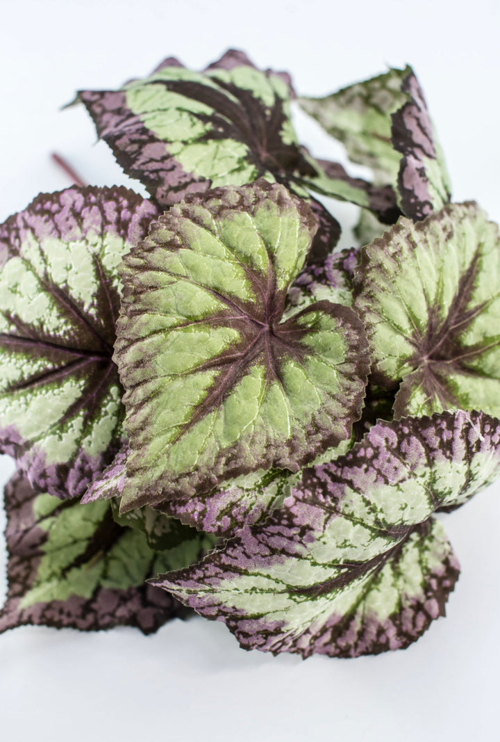 Artificial Begonia Leaves Bush - Greenery MarketPBB431 - GR/PU