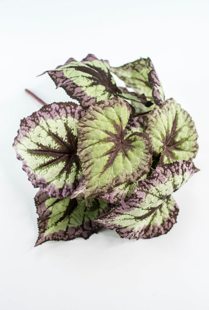 Artificial Begonia Leaves Bush - Greenery MarketPBB431 - GR/PU