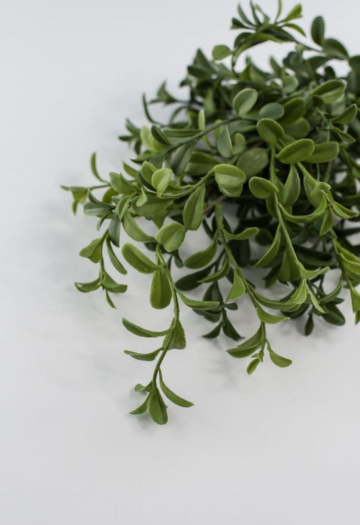 Artificial Boxwood, greenery bush - Greenery Marketgreenery25776