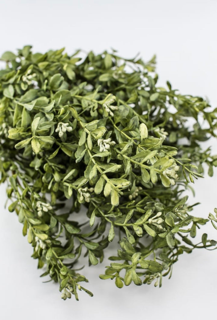 Artificial Boxwood greenery bush - Greenery MarketgreeneryFL2005/L - MSG