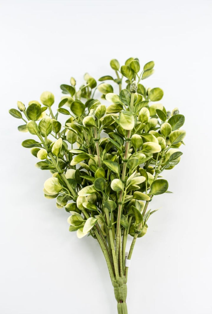 Artificial Boxwood Greenery Bush - Greenery MarketgreeneryFL6940 - YG